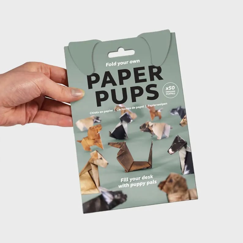 50 Stück DIY-Bastelset für Papierkatzen