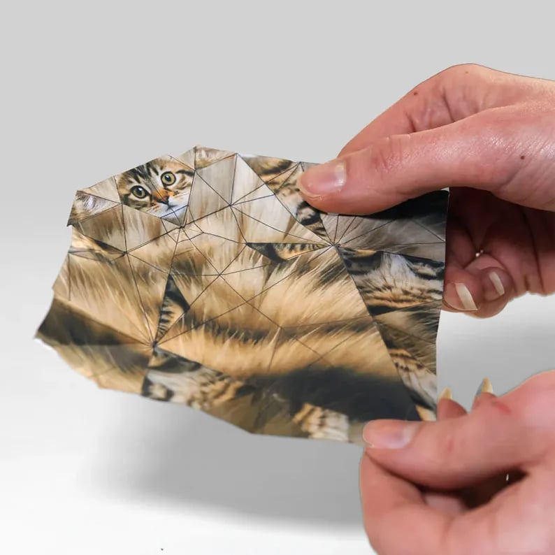 50 Stück DIY-Bastelset für Papierkatzen