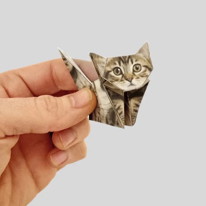 50 Stück DIY-Bastelset für Papierkatzen