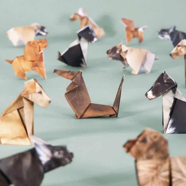 50 Stück DIY-Bastelset für Papierkatzen