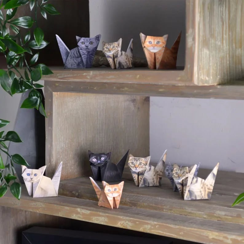 50 Stück DIY-Bastelset für Papierkatzen